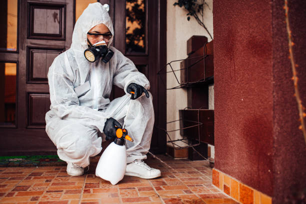 Reliable Cockroach Control contractor in Nephi, UT by Nex Pest Control